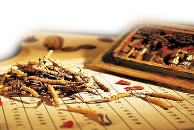 石家莊加快中醫藥振興發(fā)展步伐 