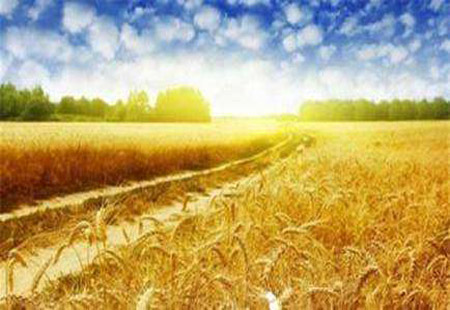 我國將在六大重點(diǎn)板塊推進(jìn)農業(yè)領(lǐng)域PPP