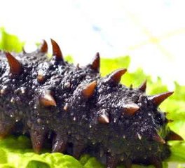 醉酒乘客遺落萬(wàn)元海參 熱心的哥及時(shí)送還