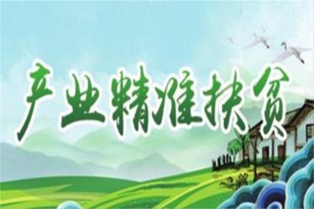 國家政策性扶貧基金“輸血”變“造血” 貧困縣咋長(cháng)出扶貧產(chǎn)業(yè)