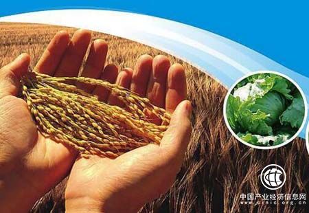 我國農業(yè)知識產(chǎn)權創(chuàng  )造數量質(zhì)量同步提升