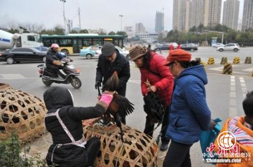 資料圖：街頭攤販。任東 攝