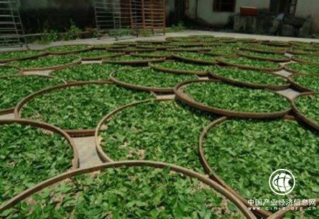 2017年我國茶葉產(chǎn)量增加 結構優(yōu)化
