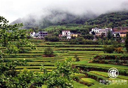 shengtai