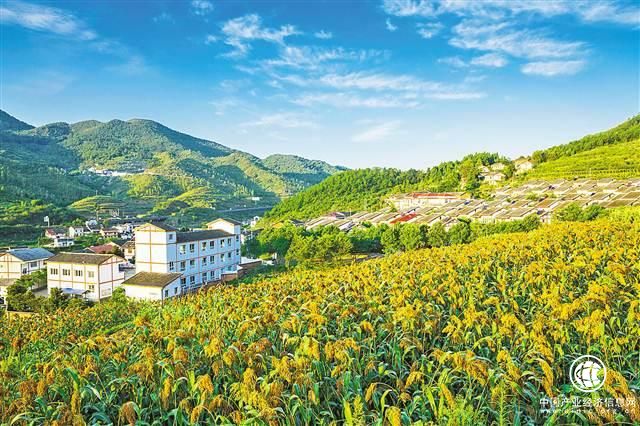 實(shí)施鄉村振興戰略的三大著(zhù)力點(diǎn)