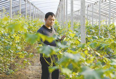 到2020年我國新型職業(yè)農民將達2000萬(wàn)人