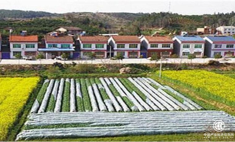 為鄉村振興戰略提供重要制度支撐