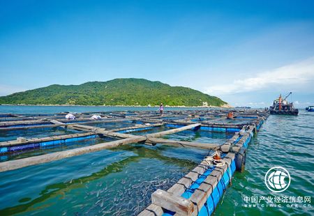 去年中國海洋經(jīng)濟統計公報發(fā)布：海洋經(jīng)濟穩中向好