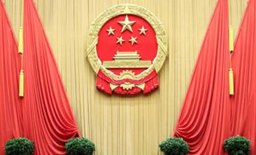 十三屆全國人大一次會(huì )議共收到325件議案