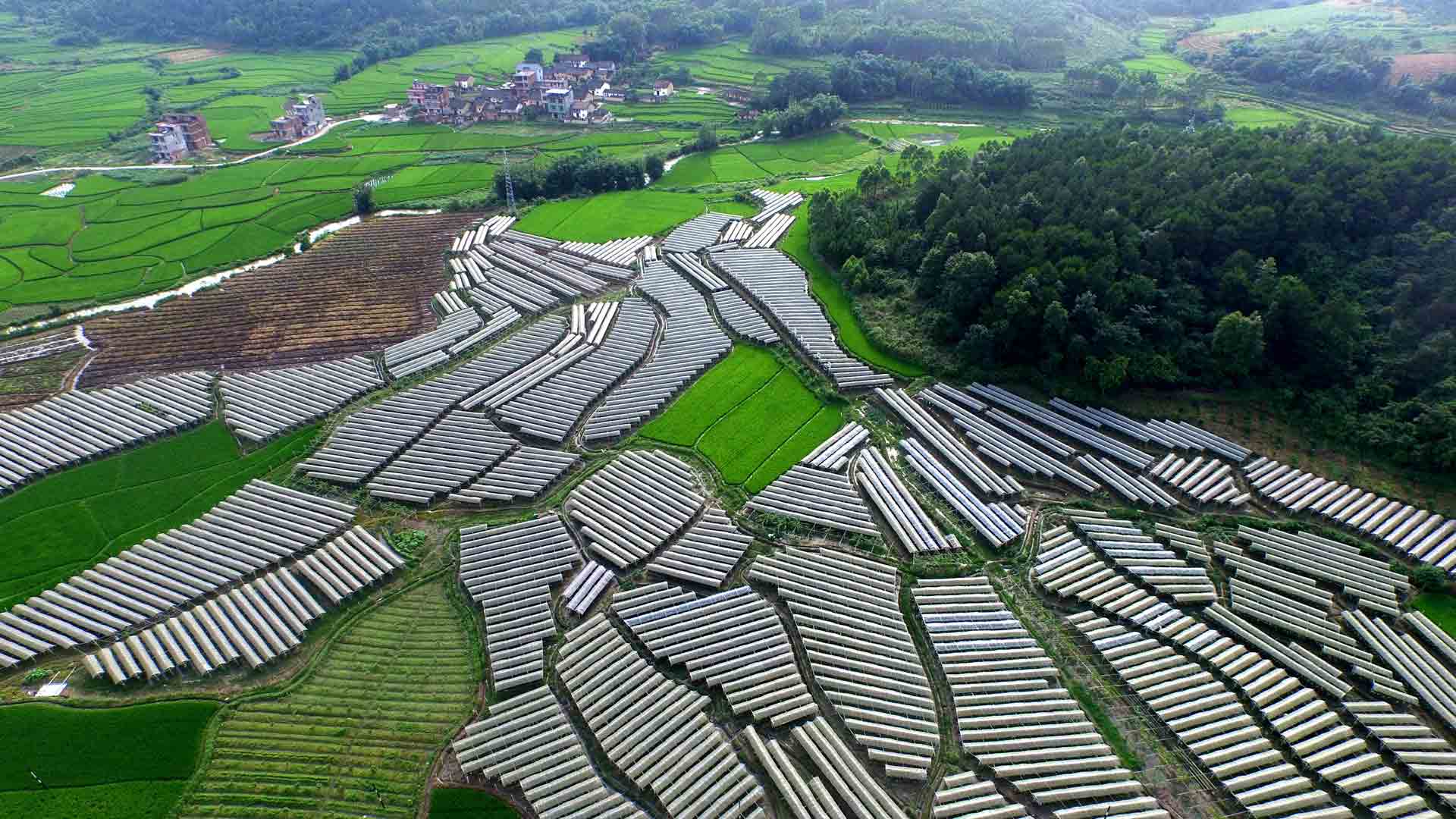 深度貧困地區咋脫貧？國務(wù)院扶貧辦主任這樣答