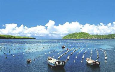 海洋生態(tài)文明建設僅僅守住紅線(xiàn)是不夠的
