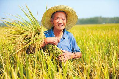我國設立“中國農民豐收節”