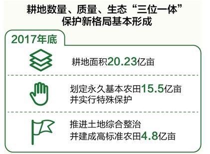 數量、質(zhì)量、生態(tài)協(xié)同 耕地保護新格局基本形成