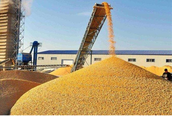 國辦：開(kāi)展全國政策性糧食庫存數量和質(zhì)量大清查