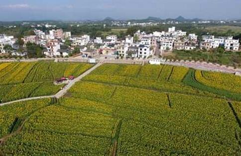 打好攻堅戰 推進(jìn)鄉村振興