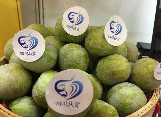 大涼山農產(chǎn)品借“四川扶貧”集體商標走向全國