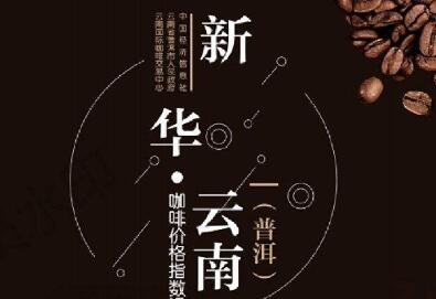 新華·云南（普洱）咖啡價(jià)格指數在京發(fā)布