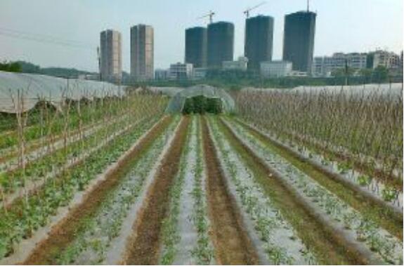 土地管理法修正案草案：增“國家建國土空間規劃體系”