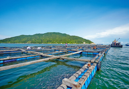 去年海洋經(jīng)濟穩健復蘇 高質(zhì)量發(fā)展態(tài)勢不斷鞏固