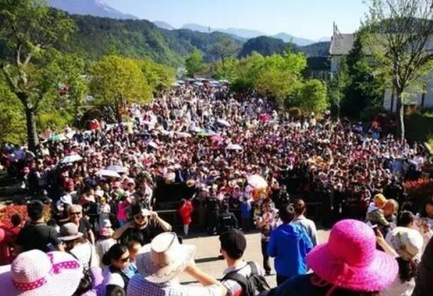 “五一”假期國內旅游接待總人數1.95億人次