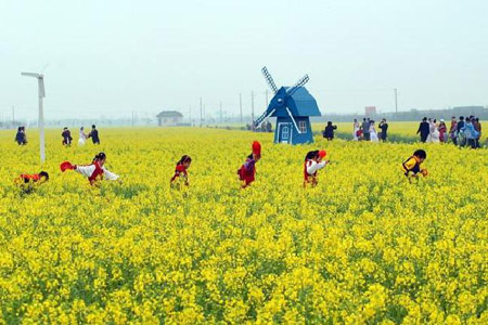 農村產(chǎn)業(yè)振興劃重點(diǎn) 一系列支持政策將落地