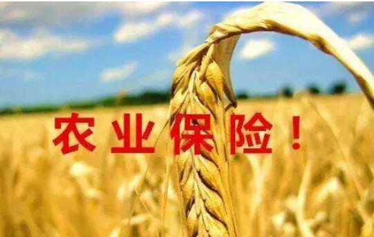 全國農業(yè)保險保費規模超900億元