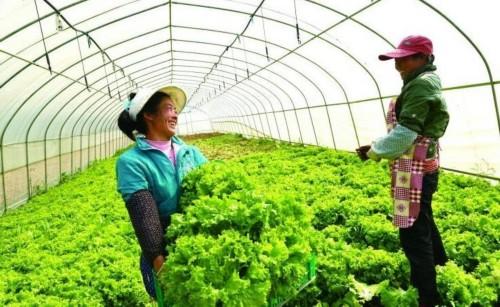 2020年一季度貧困地區農村居民人均可支配收入3218元