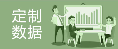 定制數據