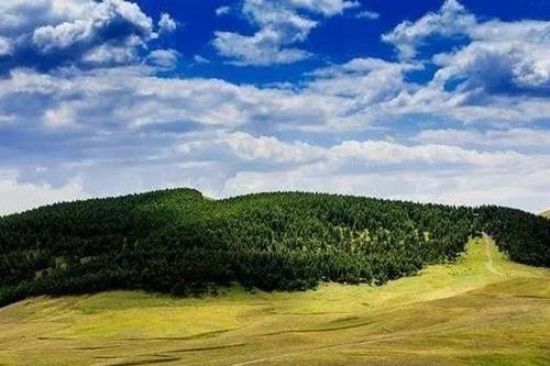 生態(tài)環(huán)境部：我國初步建立生態(tài)保護修復監管體系