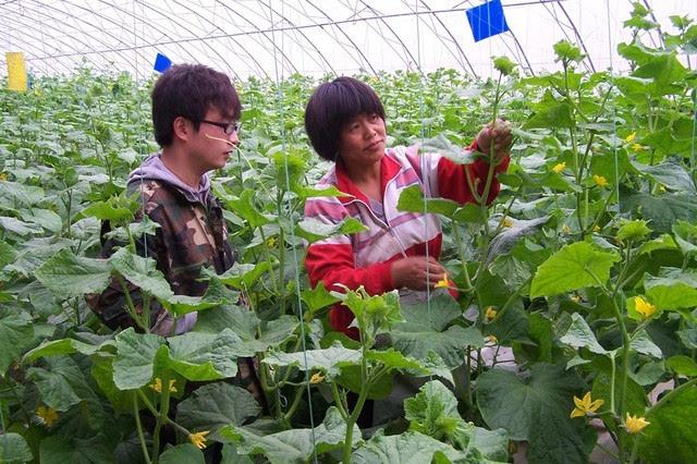 高素質(zhì)農民培育學(xué)用貫通綜合試點(diǎn)工作啟動(dòng)