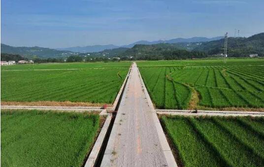 農村土地經(jīng)營(yíng)權流轉四問(wèn)——解析《農村土地經(jīng)營(yíng)權流轉管理辦法》亮點(diǎn)