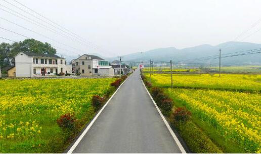 政策支持力度加大 鄉村建設駛入“快車(chē)道”