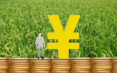 上半年農村居民人均可支配收入同比實(shí)際增長(cháng)14.1%